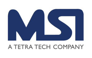 MSI Reelanalytics Ltd